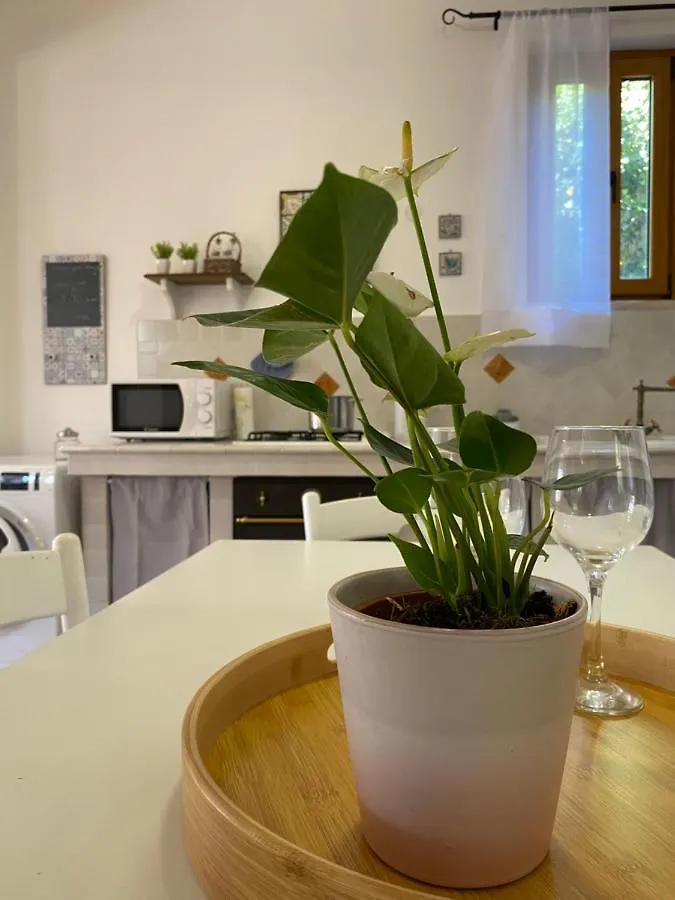 Apartment Mondello Holiday Home